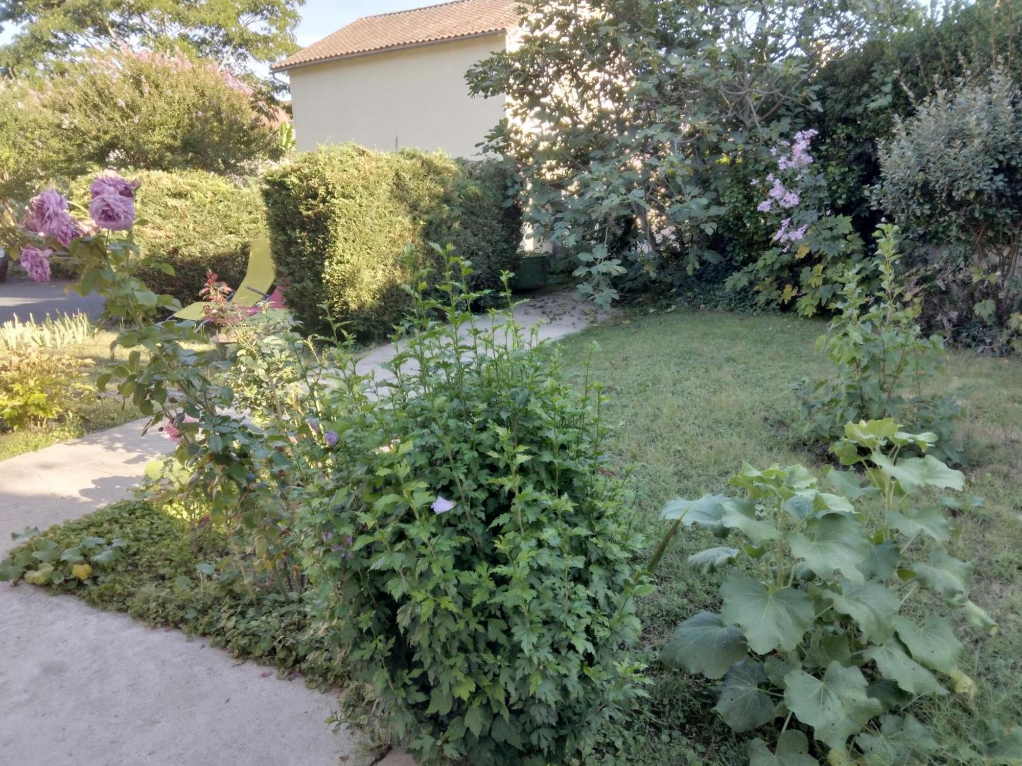 chambre d'hôte dans maison privée Périgueux Exterior foto